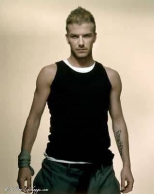 david